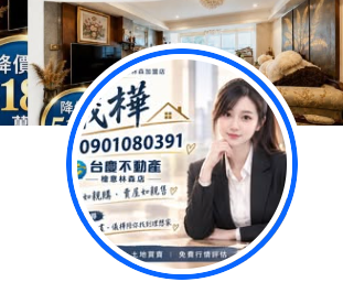 洪儀樺提供的頭像